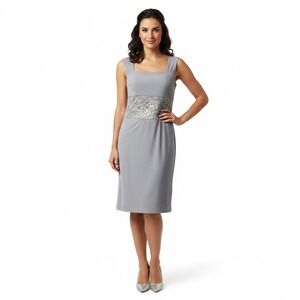 R&M Richards Dress 4P Gray Sleeveless Square Neck Sequin Floral Lace Elegant New